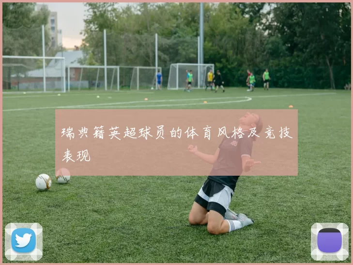 瑞典籍英超球员的体育风格及竞技表现