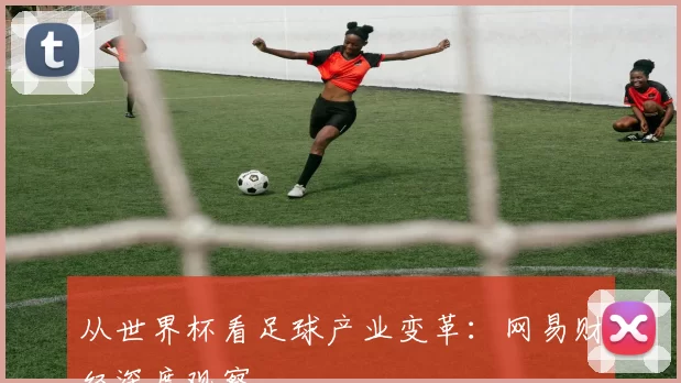 从世界杯看足球产业变革:网易财经深度观察
