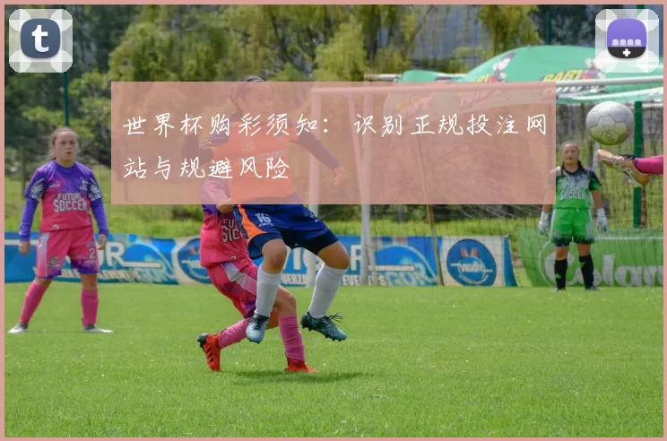 世界杯购彩须知：识别正规投注网站与规避风险