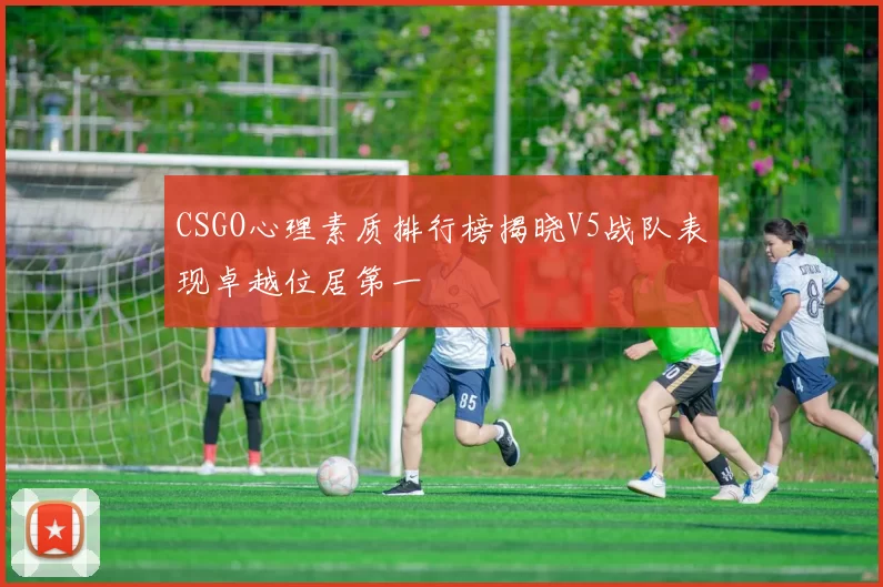 CSGO心理素质排行榜揭晓V5战队表现卓越位居第一