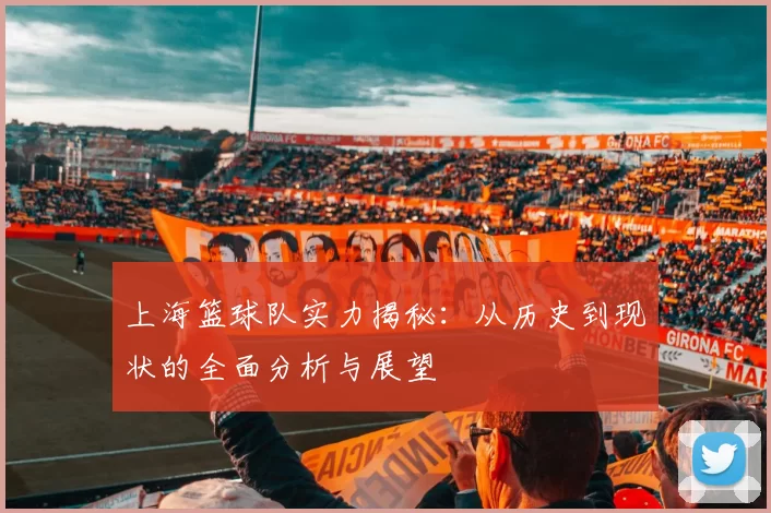 上海篮球队实力揭秘：从历史到现状的全面分析与展望