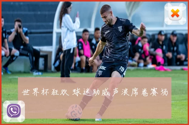 世界杯狂欢 球迷助威声浪席卷赛场