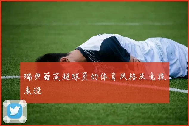 瑞典籍英超球员的体育风格及竞技表现