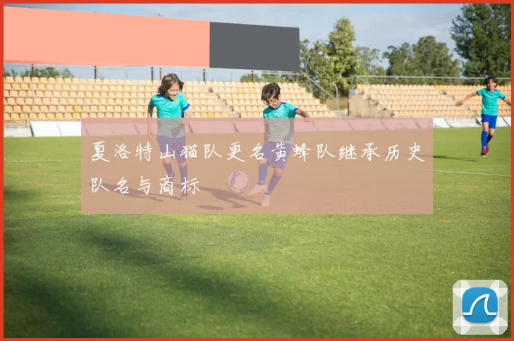 夏洛特山猫队更名黄蜂队继承历史队名与商标