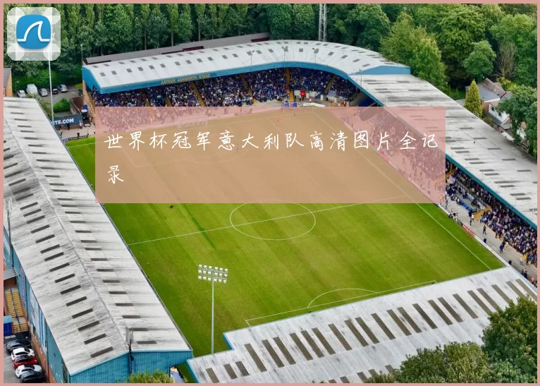 世界杯冠军意大利队高清图片全记录