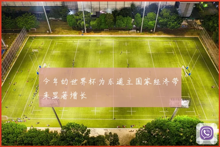今年的世界杯为东道主国家经济带来显著增长