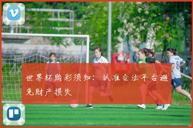 世界杯购彩须知:认准合法平台避免财产损失