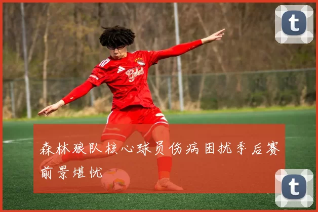 森林狼队核心球员伤病困扰季后赛前景堪忧