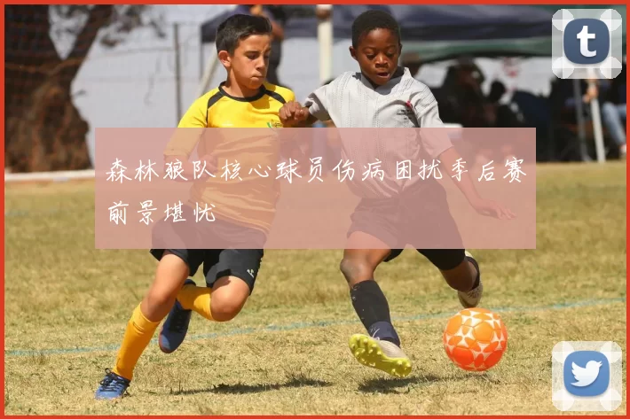 森林狼队核心球员伤病困扰季后赛前景堪忧