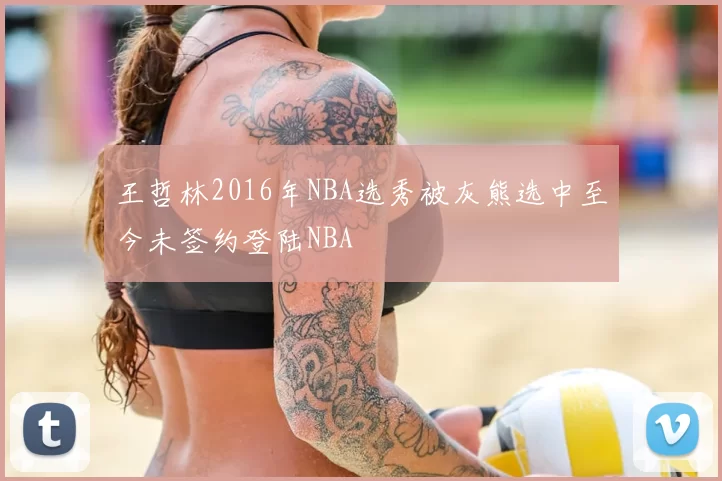 王哲林2016年NBA选秀被灰熊选中至今未签约登陆NBA