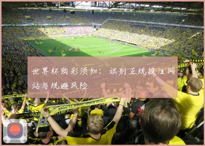 世界杯购彩须知：识别正规投注网站与规避风险