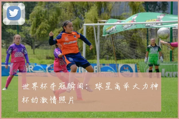 世界杯夺冠瞬间：球星高举大力神杯的激情照片