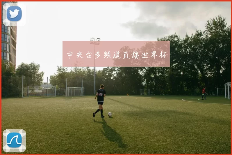 中央台多频道直播世界杯