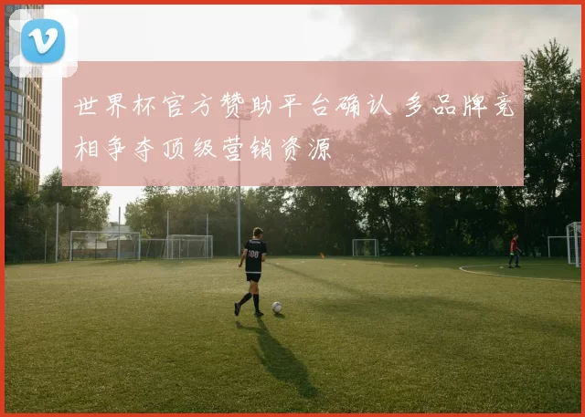 世界杯官方赞助平台确认 多品牌竞相争夺顶级营销资源