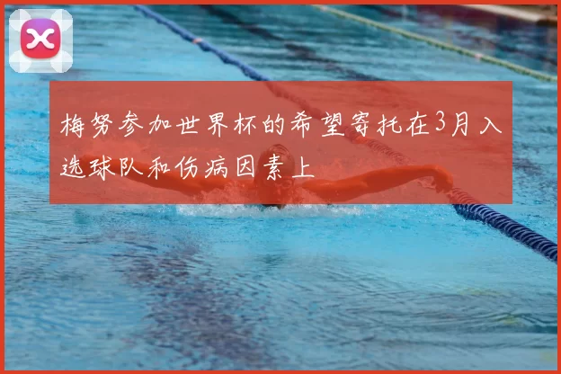 梅努参加世界杯的希望寄托在3月入选球队和伤病因素上