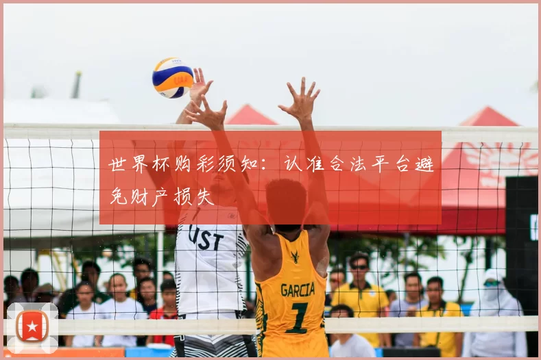 世界杯购彩须知:认准合法平台避免财产损失