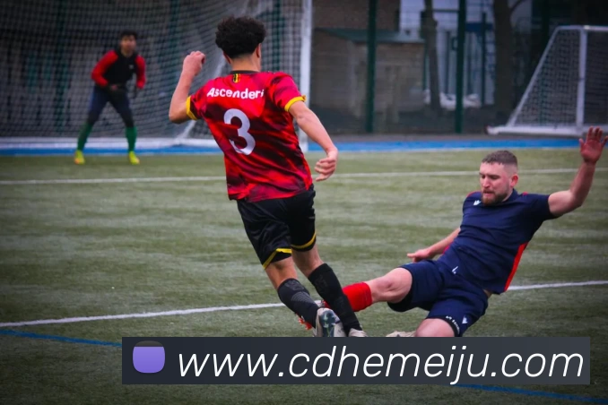 开云appAPP 封面图